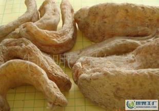 供應產地直供深山優質出口級干天麻!_醫藥、保養_世界工廠網中國產品信息庫