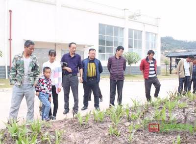 科技賦能 產(chǎn)業(yè)興農(nóng)——鎮(zhèn)沅開(kāi)展天麻中藥材種植技術(shù)培訓(xùn)助力鄉(xiāng)村振興